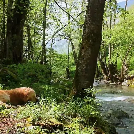 Casa de hóspedes Grand Tourmalet