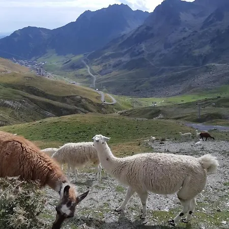 Grand Tourmalet 招待所 圣玛丽德康庞