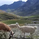 Grand Tourmalet 招待所 圣玛丽德康庞